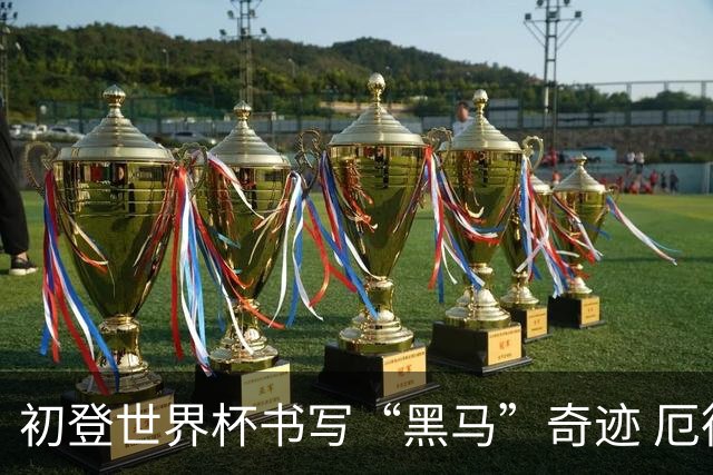 初登世界杯书写“黑马”奇迹 厄德高率挪威黄金一代启航