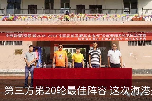 第三方第20轮最佳阵容 这次海港是赢家 中场梅伦多 门将颜骏凌入围