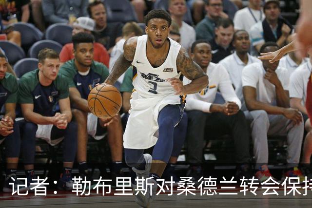 记者：勒布里斯对桑德兰转会保持平静，预计将有新援加盟