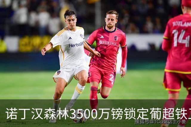 诺丁汉森林3500万镑锁定葡超铁卫，格拉斯纳三后卫体系迎最后拼图